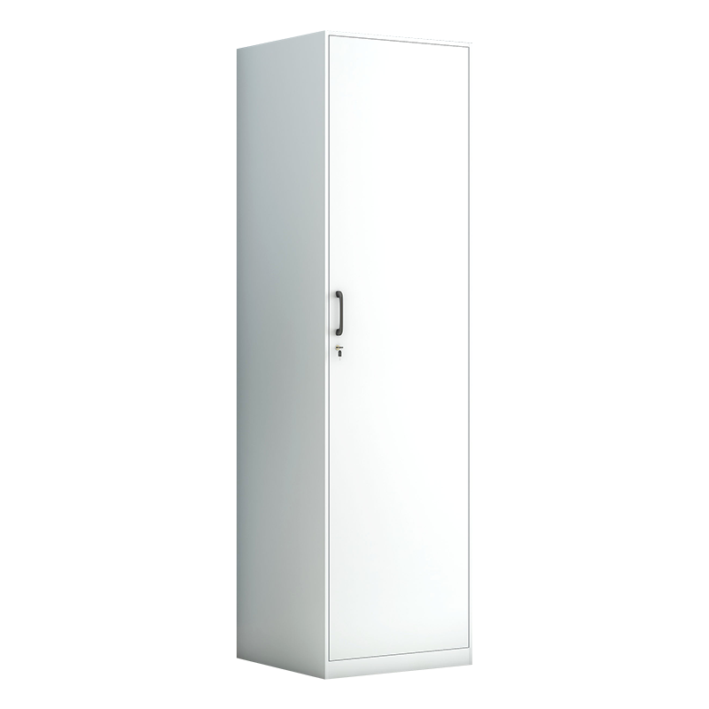 洛诗莲 (RoyceLand) 阳台柜单门衣柜钢制储物柜铁皮柜 白色单门衣柜600mm宽