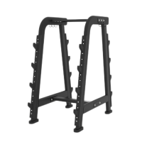 韦步XH-039杠铃架 杠铃杆架健身房商用杠铃杆放置架 摆放架 固定杠铃架储放架