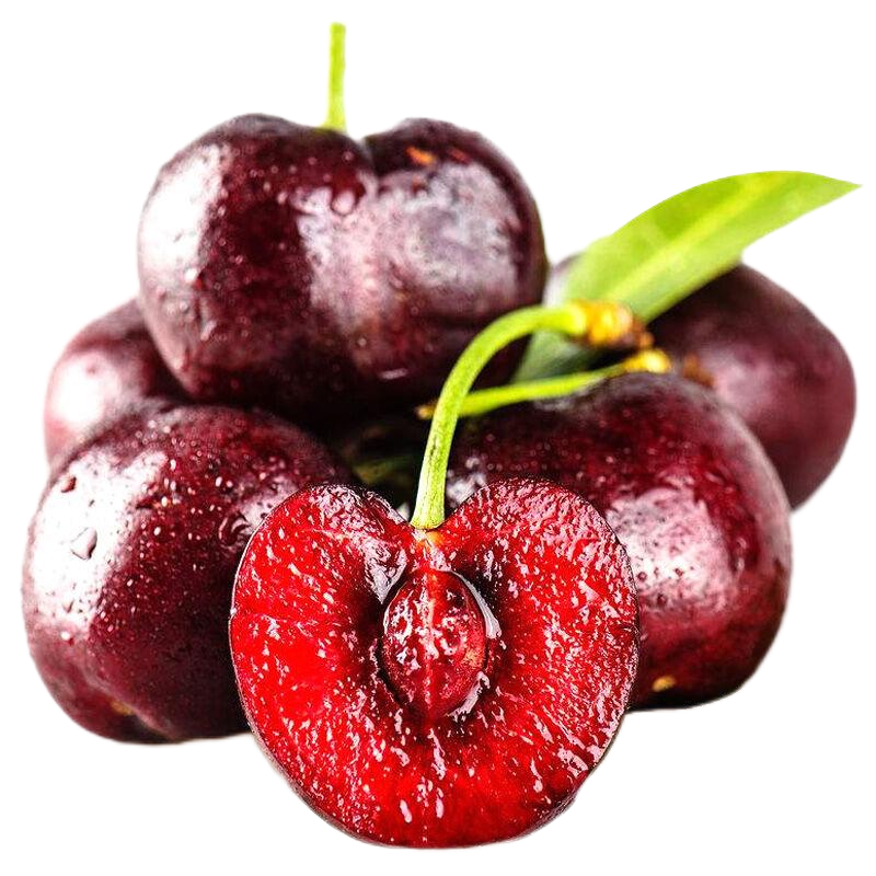 [空运保鲜 富含氨基酸]智利进口车厘子大樱桃桑提娜 果肉肥厚 营养丰富JJJ5斤装
