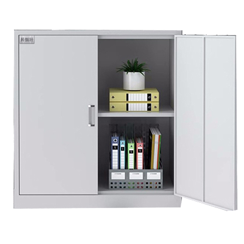 昇恒轩 通双节下节文件柜更衣储物铁柜柜子 SHX-0422 个(钢板厚度1.0mm )