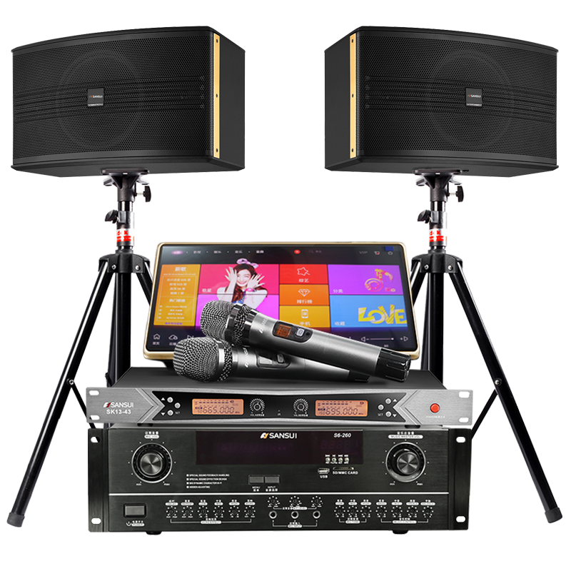 山水(SANSUI) SP2-10套装家庭影院KTV音响台式点歌机家用客厅卡拉OK无线k歌会议音箱 10吋套餐