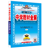 2024版 薛金星 中学教材全解九年级化学下册人教版RJ 初中三年级同步教材 课后习题答案解析中学生9年级教辅辅导书