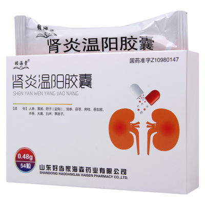 颐海棠 肾炎温阳胶囊 0.48g*54粒/盒