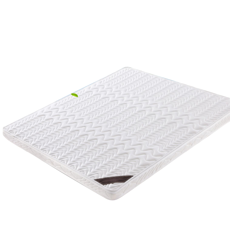 苏兴顺椰棕床垫家用棕垫B10cm厚(防螨针织+2cm乳胶+0胶水天然椰棕)1200mm*2000mm