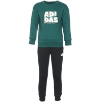 Adidas 阿迪达斯男女童休闲儿童运动套装 IY5035