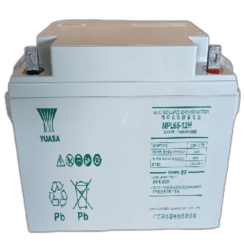 汤浅YUASA阀控式铅酸蓄电池NPL65-12FR 12V 65AH