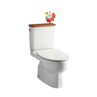 科勒马桶五级旋风强劲冲力家用抽水分体节水插花坐便器瑞琦18643T