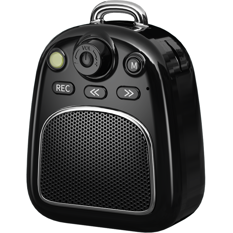 纽曼DP06 黑色+8G卡无线插卡蓝牙小音响高音质大音量HIFI音质轻薄小巧便携式户外随身迷你音箱一键录音