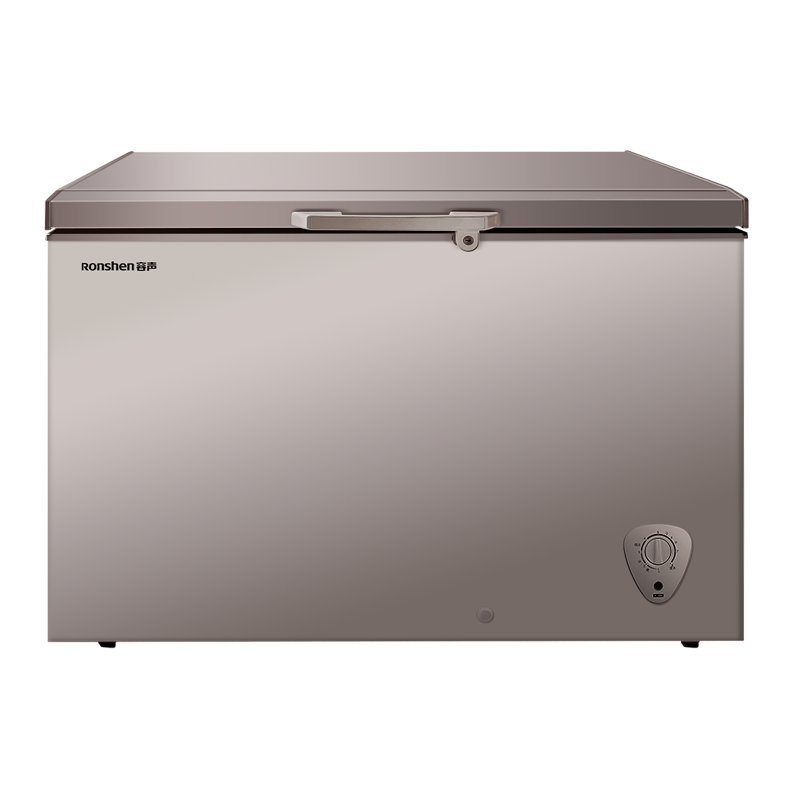 容声(Ronshen)306升商用冰柜冷柜卧式大冷冻柜 冷藏冷冻转换 节能省电变温一级能效冷柜BD/BC-306MSA