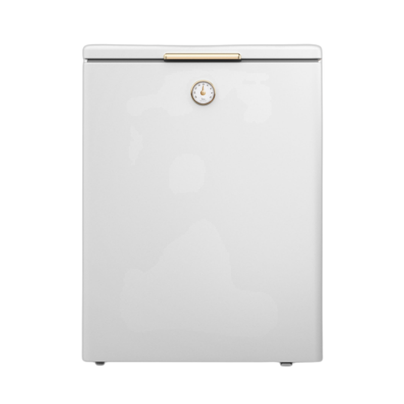 美的(Midea)142升 家用母婴冰柜冷藏冷冻转换 小型迷你冷柜 节能低音BD/BC-142KMT(E)