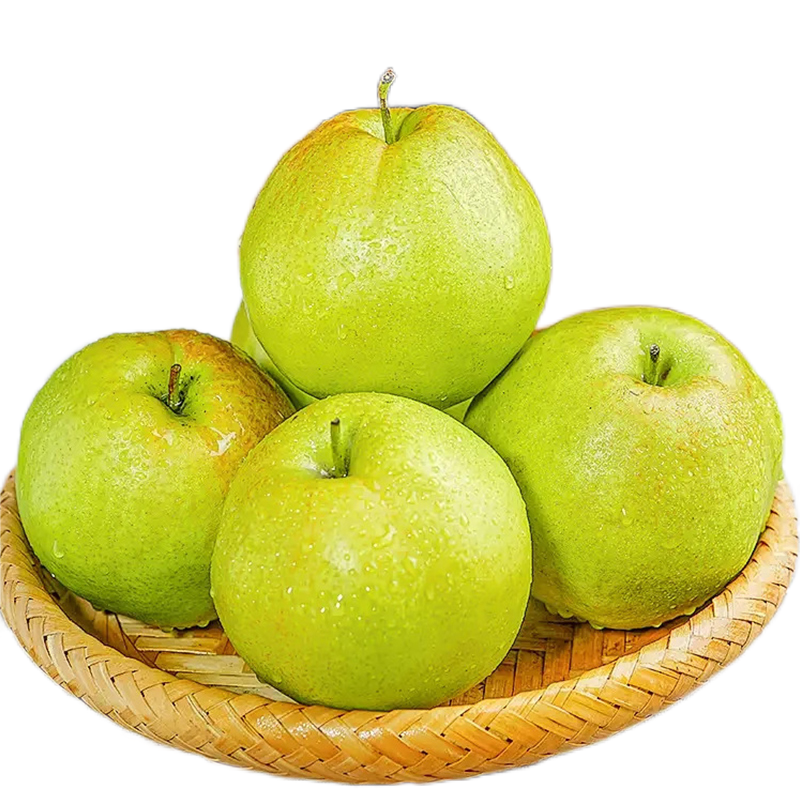 山西 玉露香梨 手提礼盒净重4.5±0.5斤