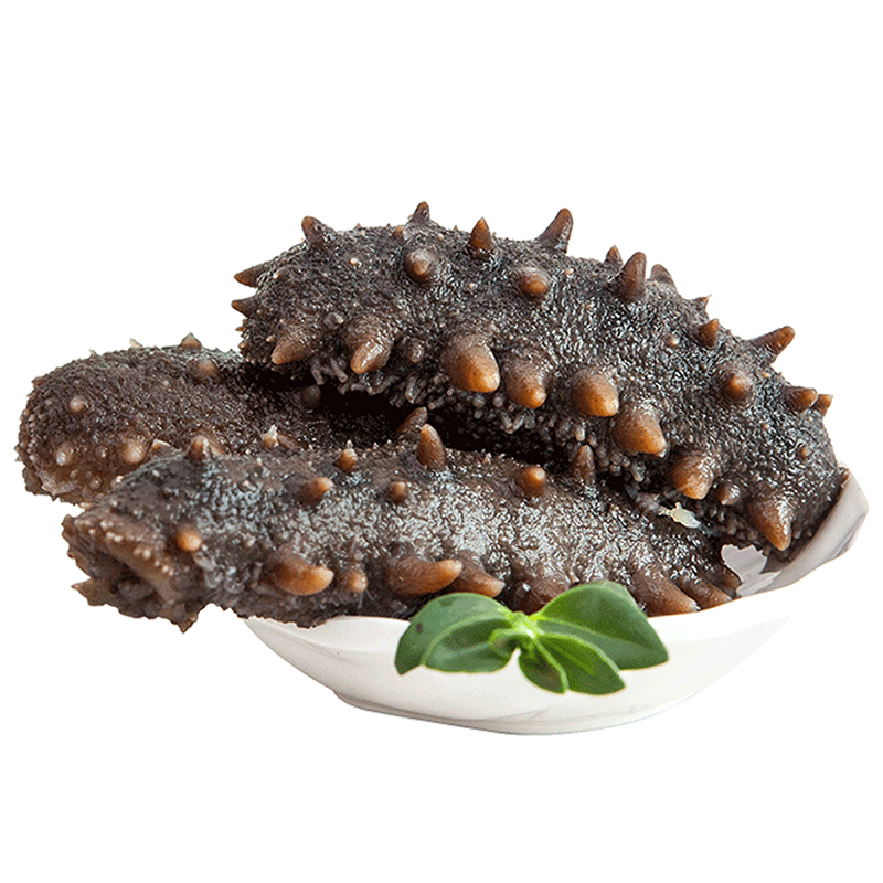珍品堂深海礁鲜食海参10-14头鲜活大连海参辽刺参500g*2袋开袋即食速食