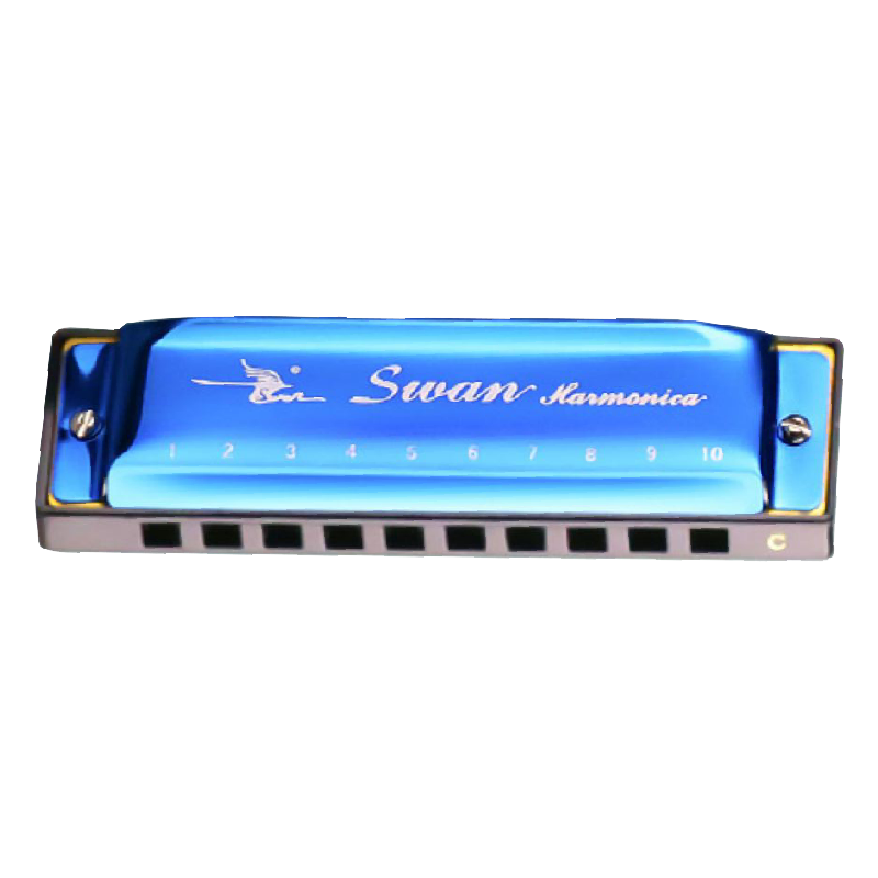 天鹅布鲁斯口琴10孔蓝调C调正品儿童初学者入门男士十孔paddy调音