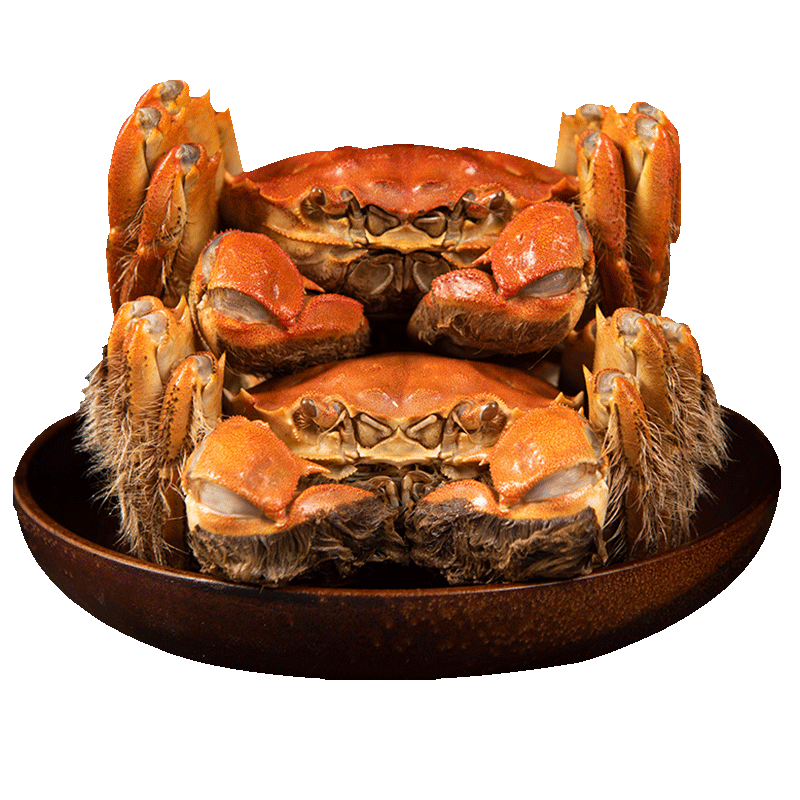 金沐运澄 严选精品大闸蟹鲜活礼盒 公蟹3.5两 母蟹2.5两 4对8只装螃蟹礼盒