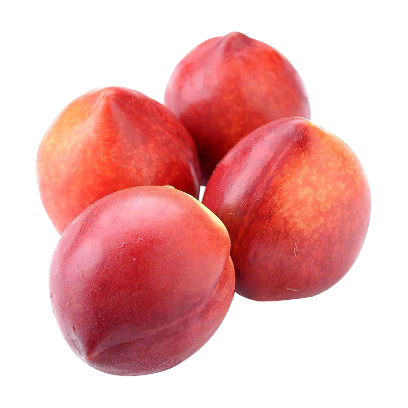 [苏鲜生]顺丰快递 智利进口桃驳李 净重3斤 新鲜红油桃 新鲜水果桃子 营养丰富