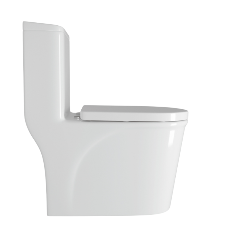 皇朝卫浴连体马桶节水抑菌防臭家用抽水陶瓷马桶大冲力喷射虹吸座便器坐便8118