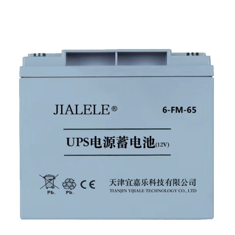 JIALELEUPS电源蓄电池6-FM-65