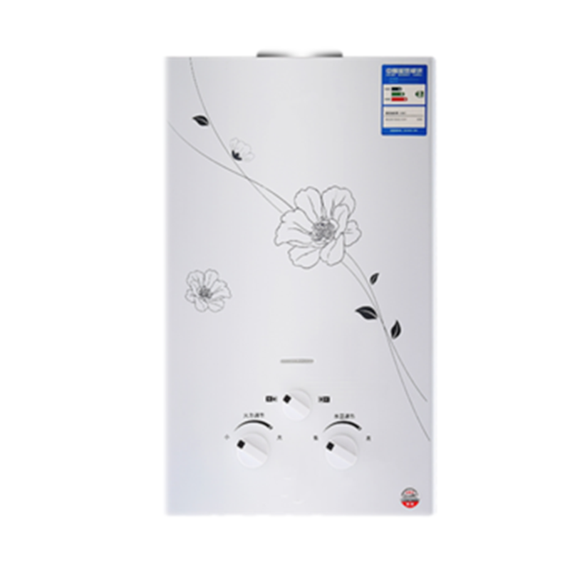 燃气热水器家用煤气液化气天然气黄金蛋热水器6升7升8升低水压启动特价_10升拉丝铜水箱数显电池烟管_天然气