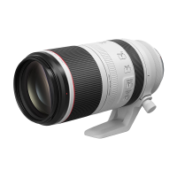 佳能(Canon)RF100-500mm F4.5-7.1 L IS USM 远摄变焦镜头 微单镜头(全画幅EOS R系统专用)