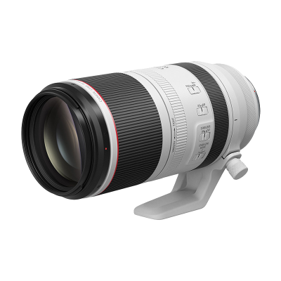 佳能(Canon)RF100-500mm F4.5-7.1 L IS USM 远摄变焦镜头 微单镜头(全画幅EOS R系统专用)