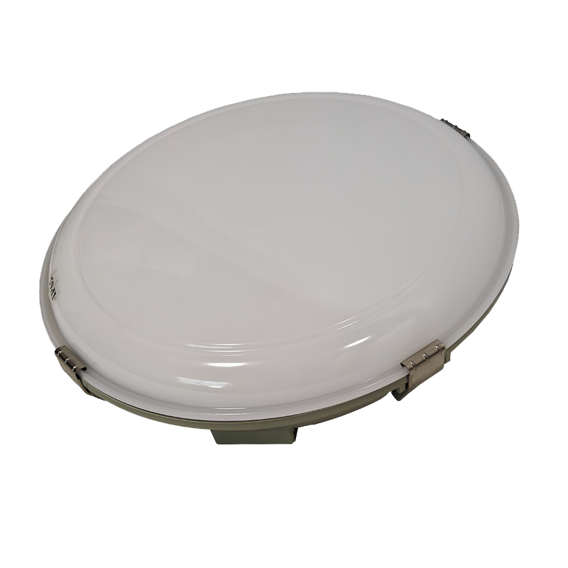 LHDQ 领航电器 LED三防吸顶灯 LHF2920C 24W 220V 冷光6000K IP65