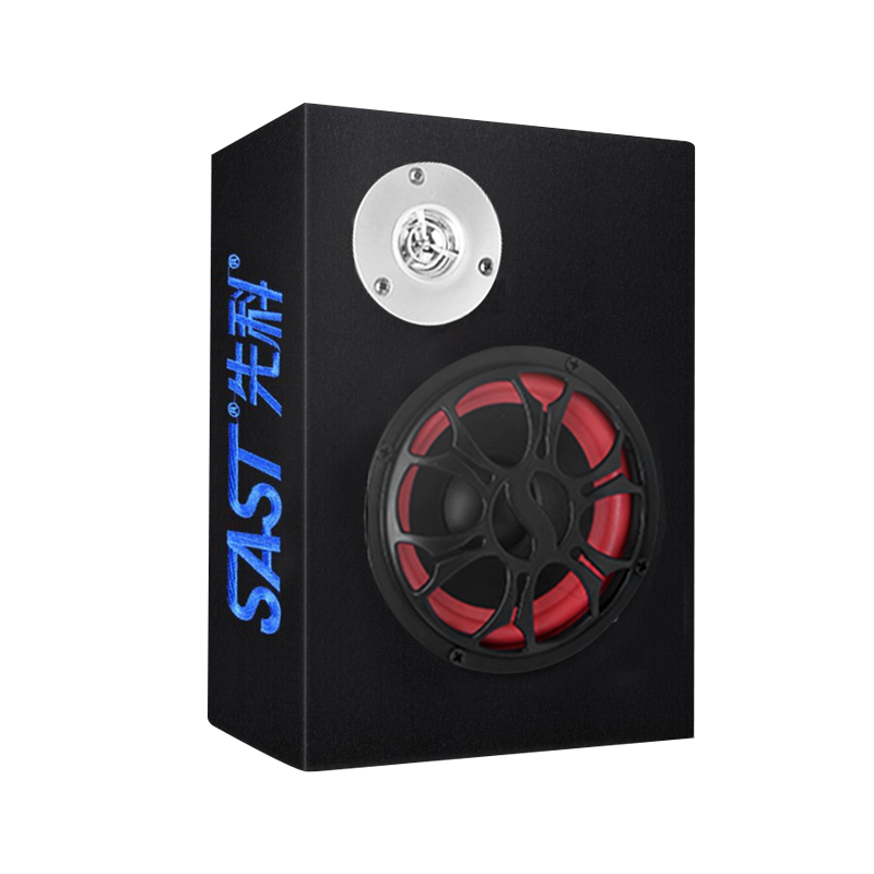 先科(SAST)车载大功率12v24v220v超重低音炮改装音响带收音机蓝牙音响家用收款语音播报器音箱