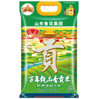 福花万年甄品香大米5KG*3南方长粒香籼米地标产品30斤新米