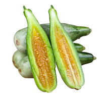 [熊猫鸟]博洋9号甜瓜 山东特产 净重4.5斤箱装 现摘现发 新鲜博洋 脆香酥瓜 当季新鲜水果 西沛