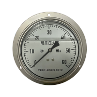 祥屹 耐震压力表轴向带边 定制检测款 YN150ZT 块