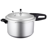 双喜高压锅家用小型22cm 5L燃气明火电磁炉通用加厚防爆2人3人4人用压力锅 囍 DOUBLE HAPPINESS