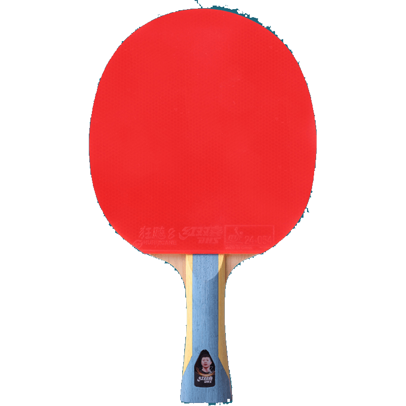 红双喜(DHS)乒乓球拍六星专业级6星五星学生兵乓单拍九星狂飙四星双拍