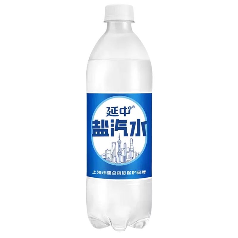 延中 盐汽水600ml*20瓶整箱装 碳酸饮料饮品咸味汽水