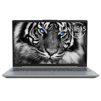 联想(Lenovo)小新15十一代英特尔酷睿i5 15.6英寸笔记本电脑(i5-1155G7 8G 512G MX450-2G独显 w10)银色 官方标配