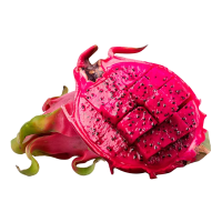 [熊猫鸟] 京都一号红心火龙果 净重8.2-8.5斤 特大果 6-9个 箱装 热带 水果 当季新鲜水果