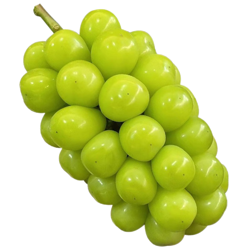 鲜木 [顺丰直达]阳光玫瑰葡萄 晴王无籽香印青提新鲜应季水果 5斤精品特级果礼盒装整箱