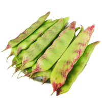 东北油豆角现摘新鲜5斤蔬菜黑龙江一点红油豆角东北特产