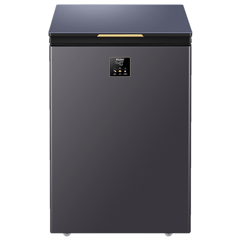 海尔(Haier)冰柜家用小型冷藏保鲜冷冻柜一键转换-40℃超低温速冻冷柜一级节能电子温控BC/BD-100GHEPG