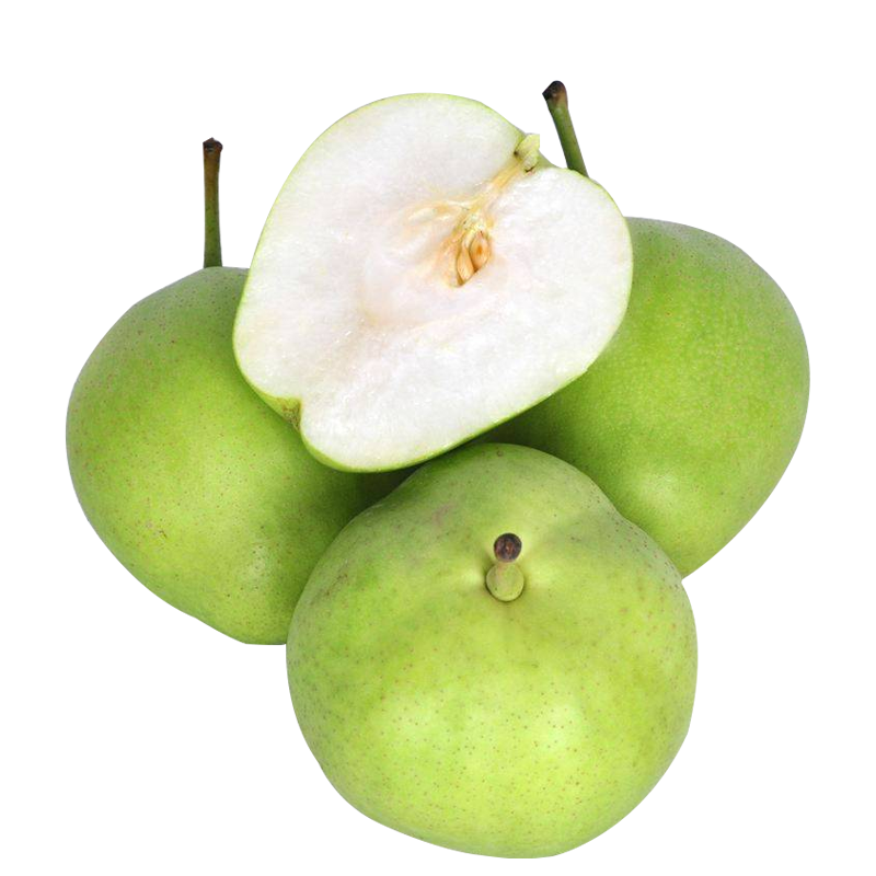 [西沛生鲜] 陕西彩虹梨新果 8.5斤大果 24枚左右 泡沫托箱装 酥脆可口 新鲜水果 熊猫鸟