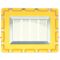 凯瑞CARY KLE1017-200W LED防爆泛光灯