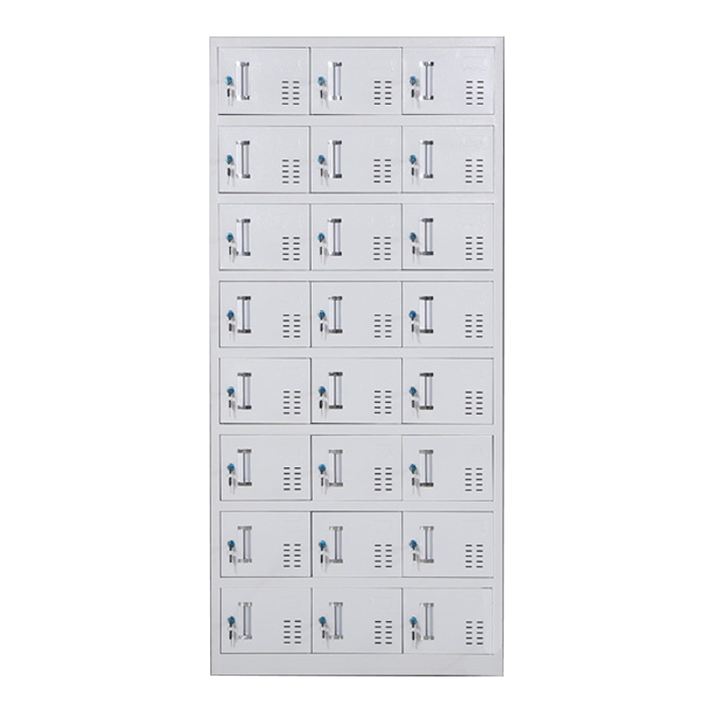 阿拉贡收纳柜财务档案柜资料柜加厚文件柜办公室带锁铁皮柜二十四门更衣柜