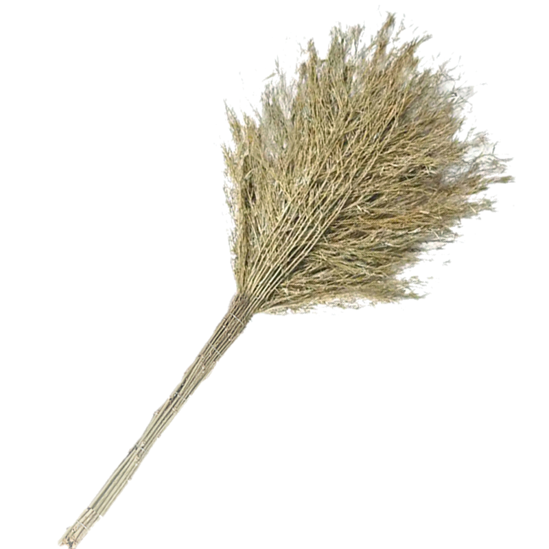 铁义 竹扫把 ( 10把装) 2kg 件