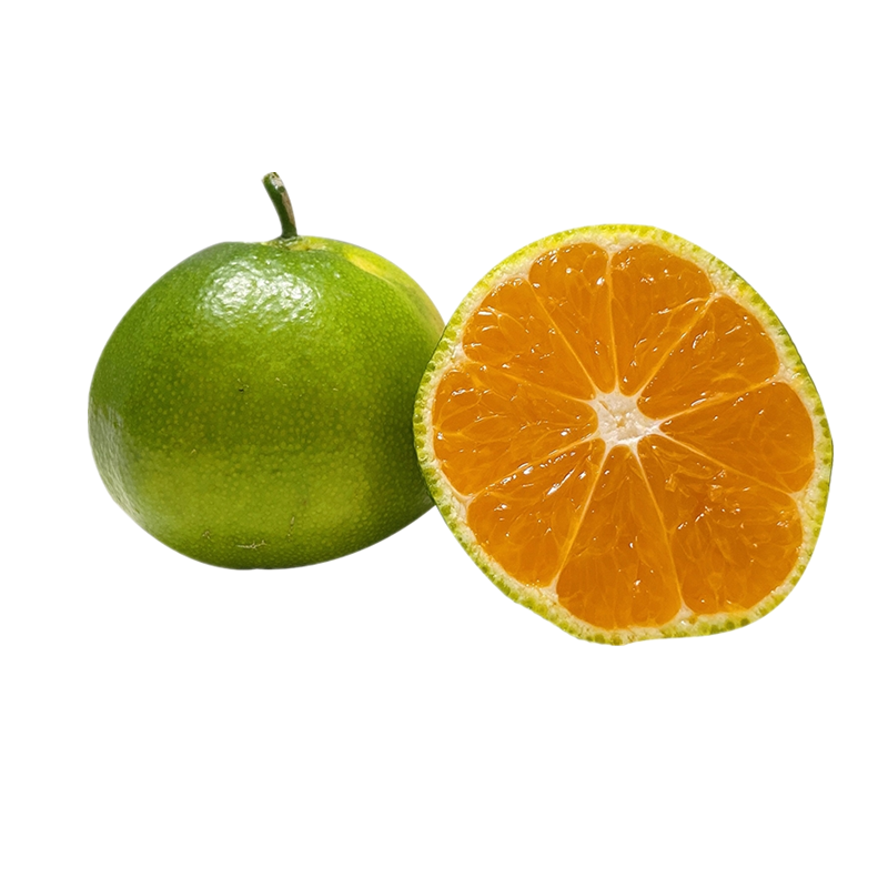 鲜贝达 广西砂糖桔带箱5斤装精品果新鲜水果橘子沙糖桔