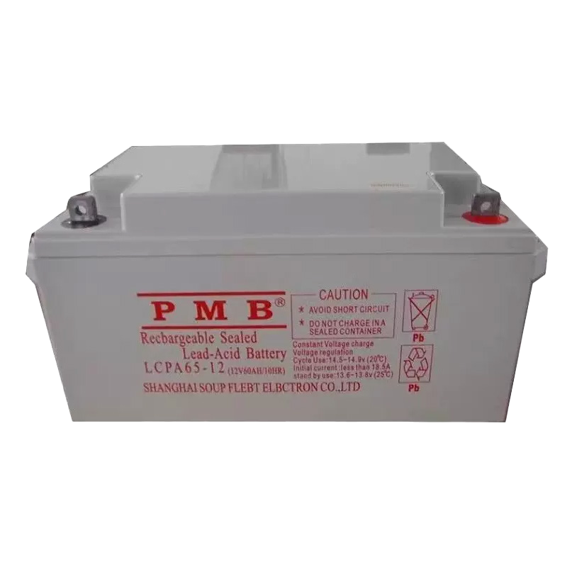 PMB 蓄电池 LCPA65-12(单位:个)