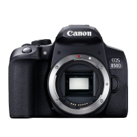 佳能(Canon) R50白色单机+RF15-30广角镜头 官方标配 微单相机入门级旅行家用学生vlog视频 4k小巧便携半画幅数码