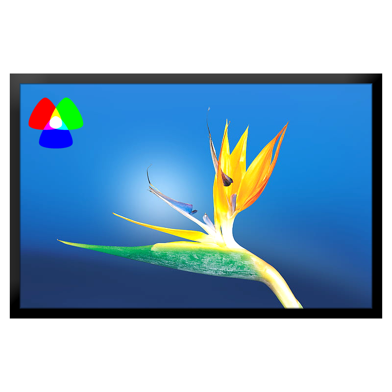 昌裕CY-XF-G9Y55 55寸壁挂广告机 信息发布显示屏