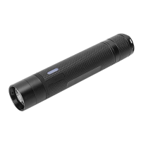 伊思盼ESSSP SY7302固态微型防爆 LED电筒3W(计价单位:套)黑色