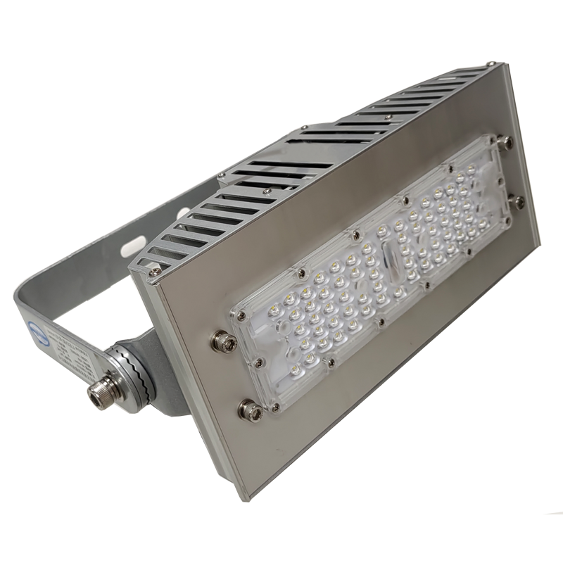 宝富睿光电 BFL3050T AC220V IP66 LED投光灯-(60W)(含安装)(计量单位:套)银色