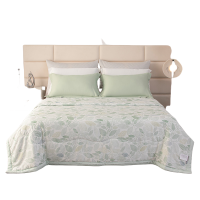 苏宁宜品紫罗兰SNYP-BZ-0003天丝印花夏被-初遇微光220*240