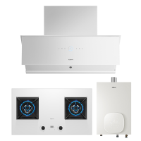 老板(ROBAM)厨电套装 烟灶热三件套 白色25立方烟机灶具燃气热水器 29X8SW+37B8XW+HT322A-16