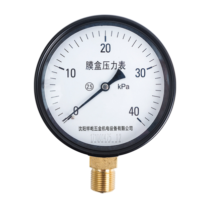 祥屹 膜盒压力表 YE100(量程请备注) 块